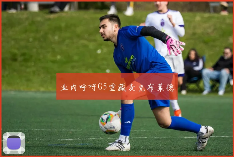 业内呼吁G5雪藏麦克布莱德